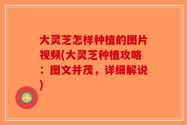 大灵芝怎样种植的图片视频(大灵芝种植攻略：图文并茂，详细解说)