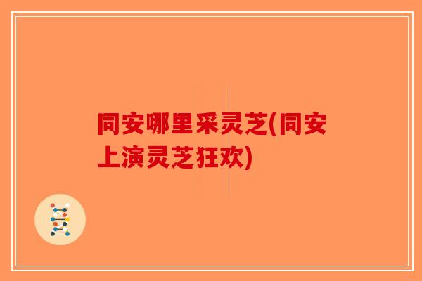 同安哪里采灵芝(同安上演灵芝狂欢)