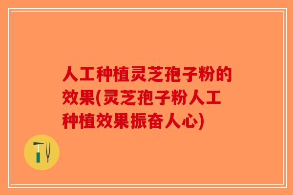 人工种植灵芝孢子粉的效果(灵芝孢子粉人工种植效果振奋人心)