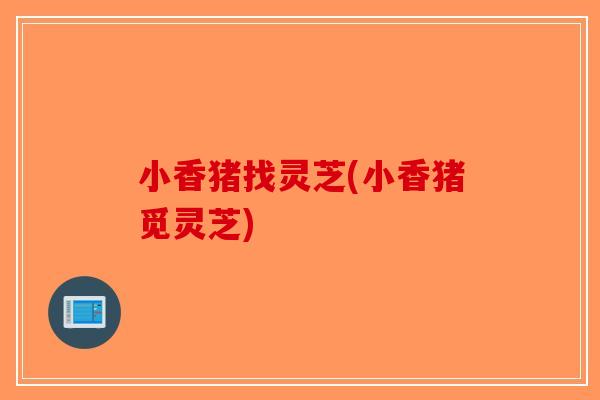 小香猪找灵芝(小香猪觅灵芝)