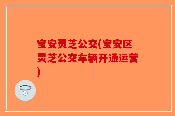 宝安灵芝公交(宝安区灵芝公交车辆开通运营) 宝安灵芝公交(宝安区灵芝公交车辆开通运营)