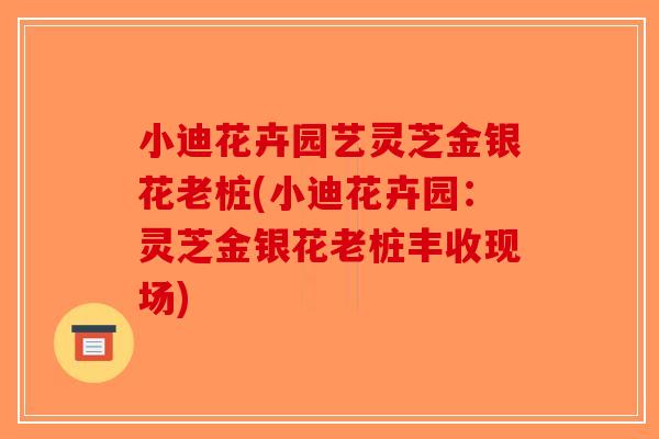 小迪花卉园艺灵芝金银花老桩(小迪花卉园：灵芝金银花老桩丰收现场)