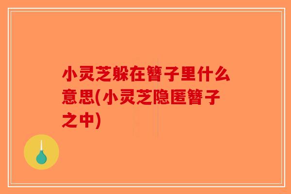 小灵芝躲在簪子里什么意思(小灵芝隐匿簪子之中)