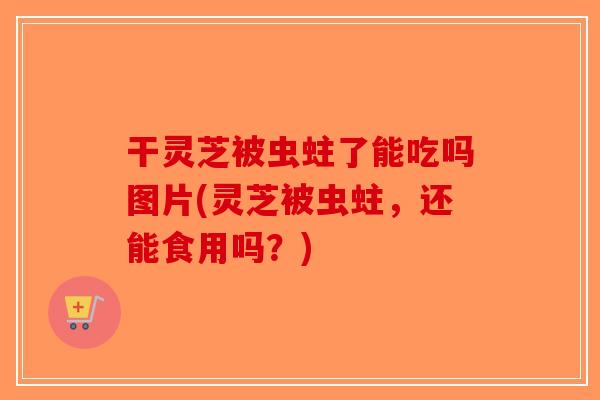 干灵芝被虫蛀了能吃吗图片(灵芝被虫蛀，还能食用吗？)