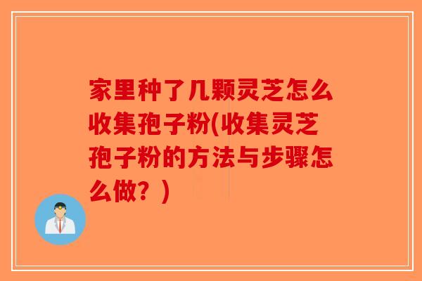 家里种了几颗灵芝怎么收集孢子粉(收集灵芝孢子粉的方法与步骤怎么做？)