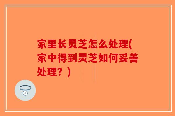家里长灵芝怎么处理(家中得到灵芝如何妥善处理？)
