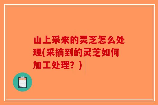 山上采来的灵芝怎么处理(采摘到的灵芝如何加工处理？)