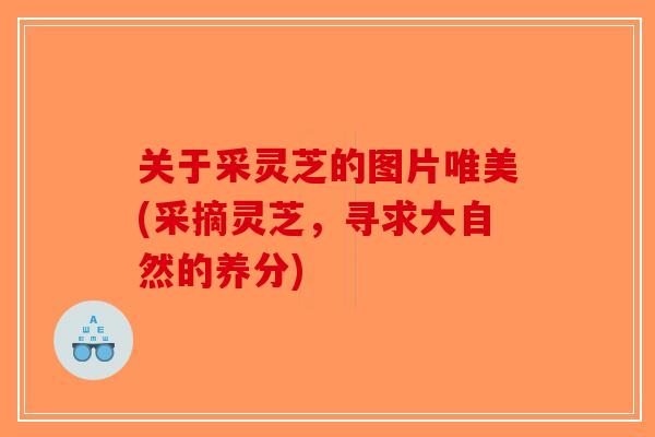 关于采灵芝的图片唯美(采摘灵芝，寻求大自然的养分)