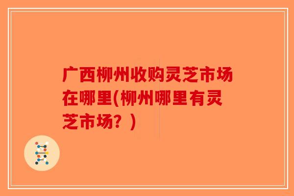 广西柳州收购灵芝市场在哪里(柳州哪里有灵芝市场？)