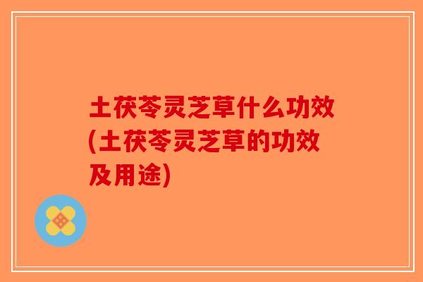 土茯苓灵芝草什么功效(土茯苓灵芝草的功效及用途)