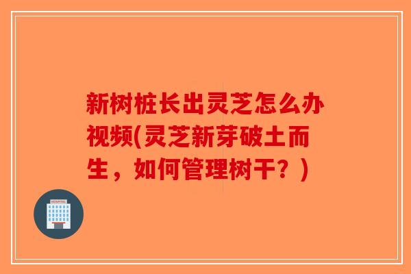 新树桩长出灵芝怎么办视频(灵芝新芽破土而生，如何管理树干？)