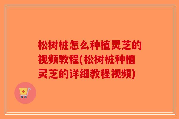 松树桩怎么种植灵芝的视频教程(松树桩种植灵芝的详细教程视频)