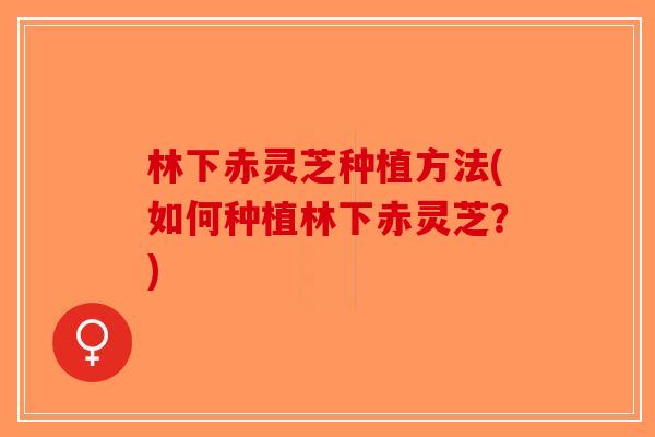 林下赤灵芝种植方法(如何种植林下赤灵芝？)