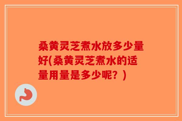 桑黄灵芝煮水放多少量好(桑黄灵芝煮水的适量用量是多少呢？)