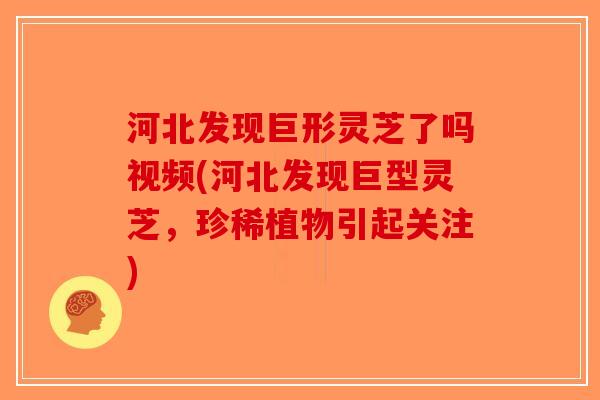 河北发现巨形灵芝了吗视频(河北发现巨型灵芝,珍稀植物引起关注) 河北发现巨形灵芝了吗视频(河北发现巨型灵芝,珍稀植物引起关注)