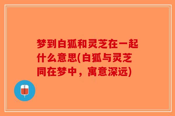 梦到白狐和灵芝在一起什么意思(白狐与灵芝同在梦中，寓意深远)