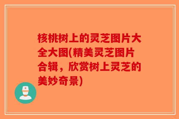 核桃树上的灵芝图片大全大图(精美灵芝图片合辑，欣赏树上灵芝的美妙奇景)