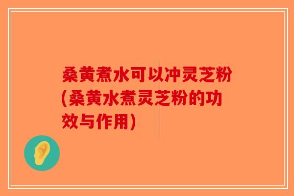 桑黄煮水可以冲灵芝粉(桑黄水煮灵芝粉的功效与作用)