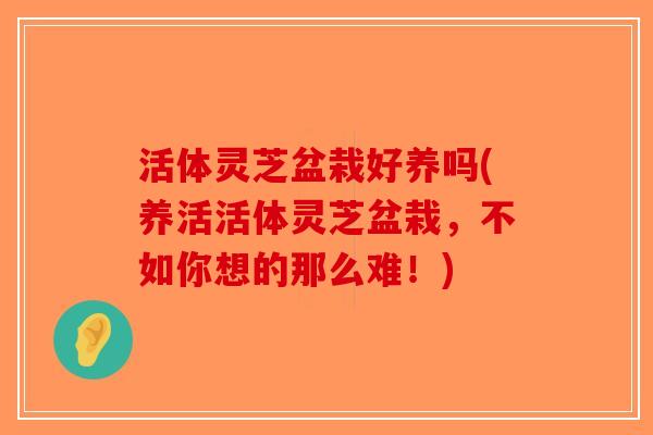 活体灵芝盆栽好养吗(养活活体灵芝盆栽，不如你想的那么难！)