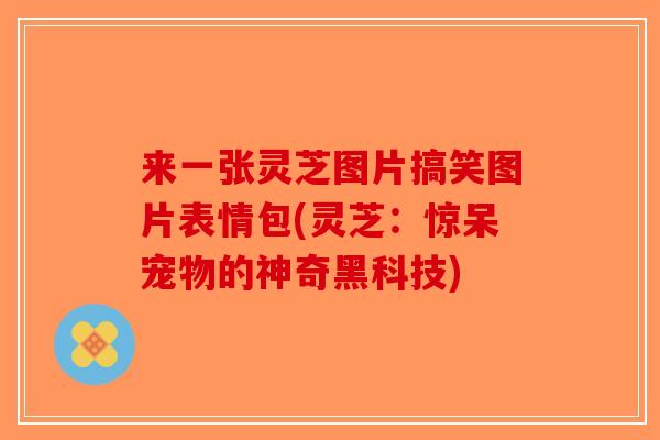 来一张灵芝图片搞笑图片表情包(灵芝:惊呆宠物的神奇黑科技) 来一张灵芝图片搞笑图片表情包(灵芝:惊呆宠物的神奇黑科技)