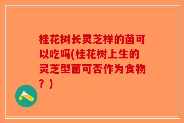 桂花树长灵芝样的菌可以吃吗(桂花树上生的灵芝型菌可否作为食物?) 桂花树长灵芝样的菌可以吃吗(桂花树上生的灵芝型菌可否作为食物?)