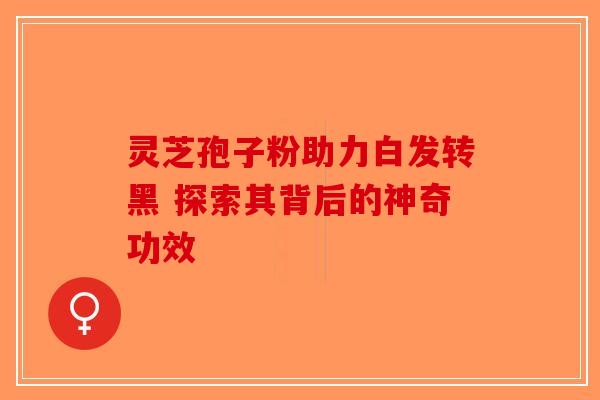 灵芝孢子粉助力白发转黑 探索其背后的神奇功效 灵芝孢子粉助力白发转黑 探索其背后的神奇功效