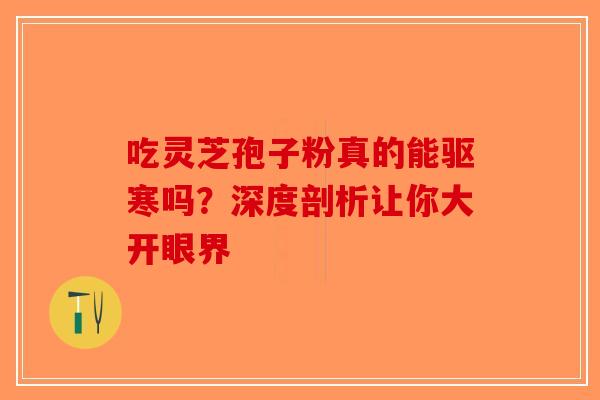 吃灵芝孢子粉真的能驱寒吗？深度剖析让你大开眼界
