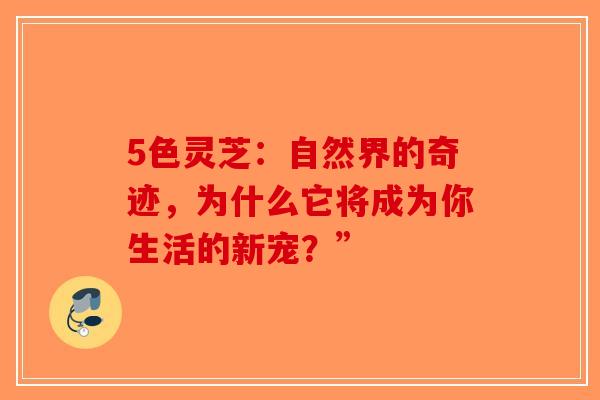 5色灵芝：自然界的奇迹，为什么它将成为你生活的新宠？”