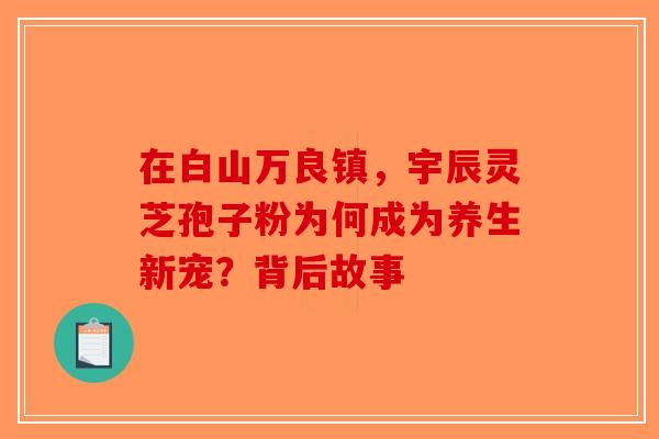 在白山万良镇，宇辰灵芝孢子粉为何成为养生新宠？背后故事