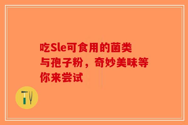 吃Sle可食用的菌类与孢子粉，奇妙美味等你来尝试