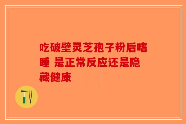 吃破壁灵芝孢子粉后嗜睡 是正常反应还是隐藏健康
