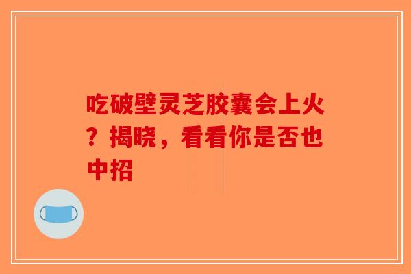吃破壁灵芝胶囊会上火？揭晓，看看你是否也中招