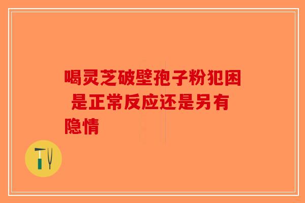 喝灵芝破壁孢子粉犯困 是正常反应还是另有隐情