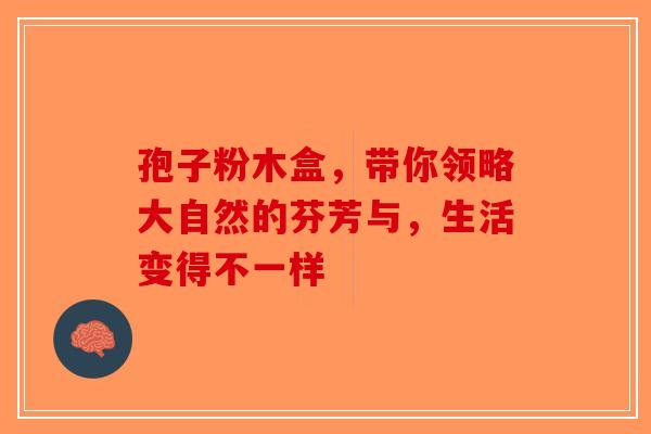 孢子粉木盒，带你领略大自然的芬芳与，生活变得不一样