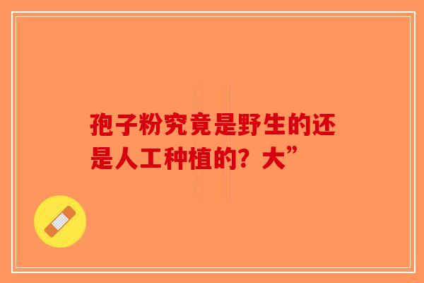 孢子粉究竟是野生的还是人工种植的？大”