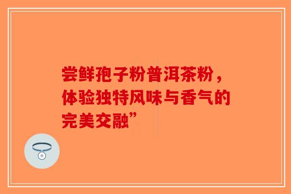 尝鲜孢子粉普洱茶粉，体验独特风味与香气的完美交融”