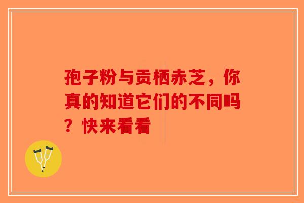孢子粉与贡栖赤芝，你真的知道它们的不同吗？快来看看