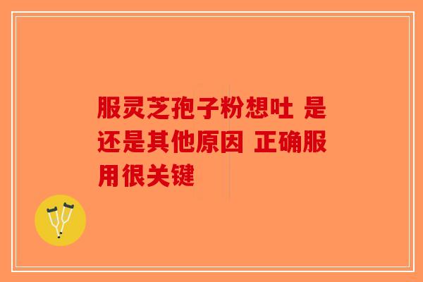 服灵芝孢子粉想吐 是还是其他原因 正确服用很关键