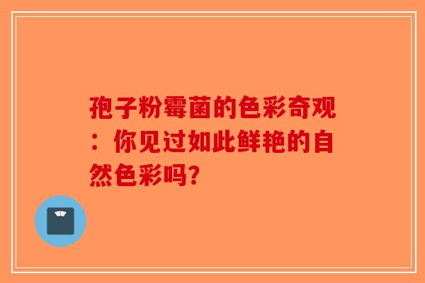 孢子粉霉菌的色彩奇观：你见过如此鲜艳的自然色彩吗？