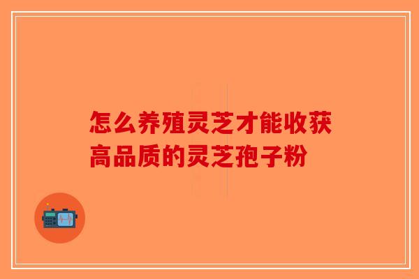 怎么养殖灵芝才能收获高品质的灵芝孢子粉