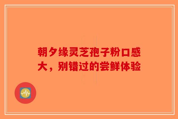 朝夕缘灵芝孢子粉口感大，别错过的尝鲜体验