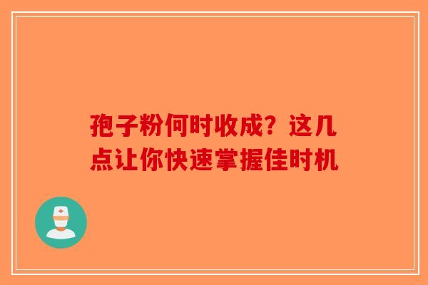 孢子粉何时收成？这几点让你快速掌握佳时机
