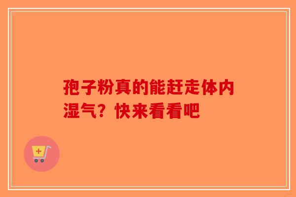 孢子粉真的能赶走体内湿气？快来看看吧