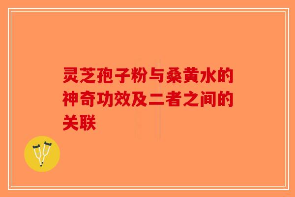 灵芝孢子粉与桑黄水的神奇功效及二者之间的关联