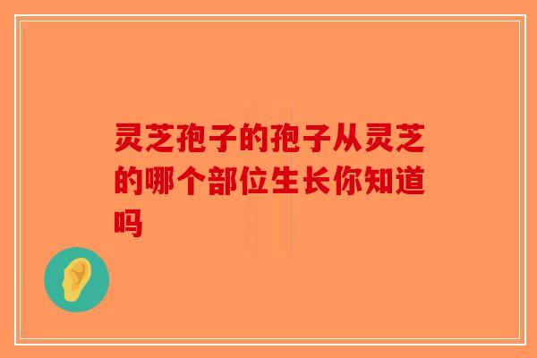 灵芝孢子的孢子从灵芝的哪个部位生长你知道吗
